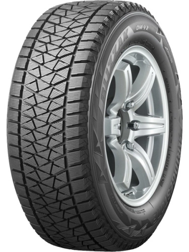 bridgestone_blizzak_dm_v2.jpg_7bdee3fbdc542291e6f48cd3e956d5fa_44274
