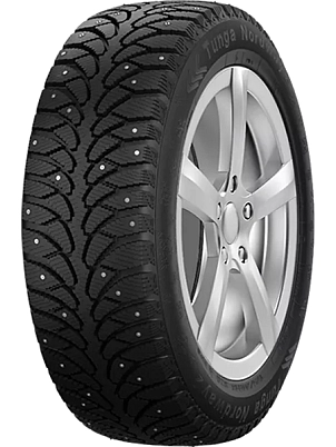 Шина Tunga NORDWAY 2 205/55 R16 94Q